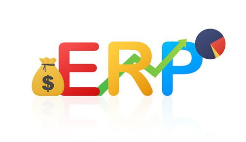 ERP软件系统发展的影响因素有哪些